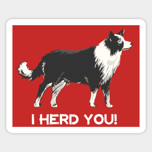 Border Collie I Herd You Magnet